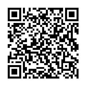 将会有某种极小的几率引动真正的大道妙音再度出现二维码生成