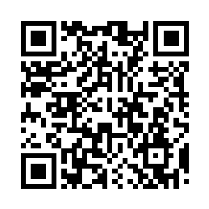 将哺乳动物和爬行动物的特征融合到了一起二维码生成