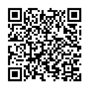 将妖兽拖到了战壕一侧人类修士一方却也损失惨重二维码生成