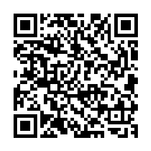 将所有与涼妃赫连铭与王上医王淑雨有关的人等全数撵出皇城二维码生成