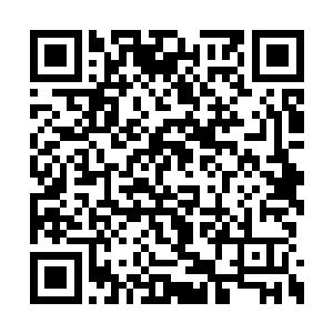 将手中珍藏的毛皮连同动物的尸体全部拿了出来二维码生成