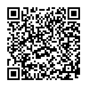 将朱父猎来野兔熏了两只并几张烙好的油饼一起用纸包了塞到了朱平安行李里二维码生成