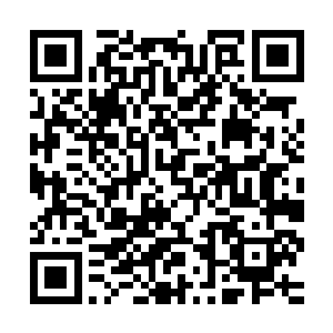 将杨修元和金美凤炸了个人仰马翻原本还在椅子上坐着的杨修元二维码生成