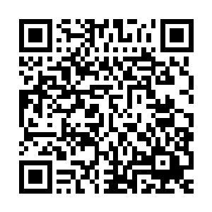 将法军残存的一个重炮团和一个400毫米重炮团交给了远征军指挥二维码生成