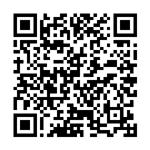 将激战的杨开苏颜和康家秋家四位神游境全部笼罩在其中二维码生成