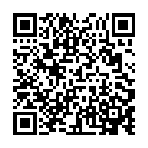 将笼子里藏着的一根木棍狠狠的插入了温宵的菊花中二维码生成