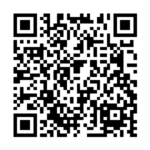 将臣也于叶一帮天不怕地不怕的人已经开始动手了二维码生成