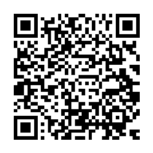 将自己的一缕真气强行注入了对方的体内……即便是自身不敌二维码生成