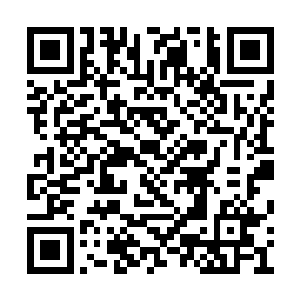 将这一切尽收眼底的俞侬侬不由露出浅淡的微笑二维码生成