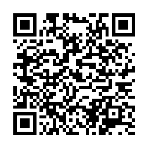 将那刚刚得到的十二仙体之中的道骨尸圣的塑造之法二维码生成