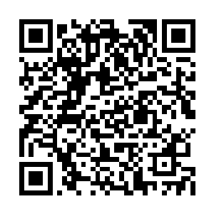 将额头上的三叶印记对准了棺椁表面的三叶印记二维码生成