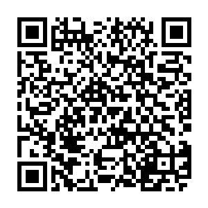 将黄河以北的数支达到数万乃至数十万的民间力量先后收编入武朝正规军体系二维码生成
