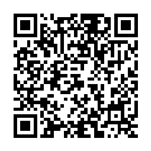 小命无碍的杀手17还来不及去思考陈诚为什么会突然出现在上路二维码生成