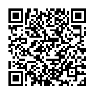 小唐尼深情的注视着和自己没有任何血缘关系的养母二维码生成