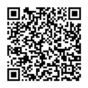 小型侦察机正是外面那些裁判和几个特别行动处处长观看用的道具二维码生成