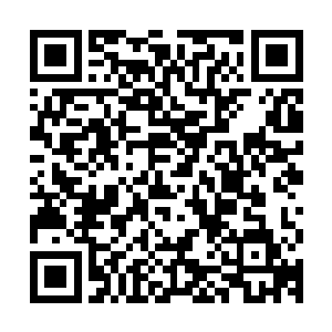 小型生物科技公司和数量众多的研究人员疯狂的追逐每一粒金沙二维码生成