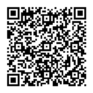 小太妹一见之下立刻扇起了翅膀然后这么一拍就从假山顶上扑愣到了卡森的胳膊上二维码生成