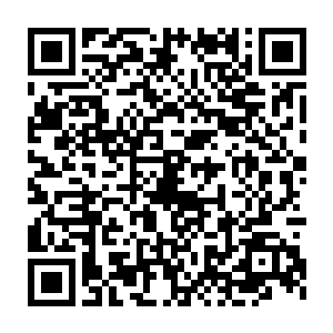 小心翼翼地用余光关注着坐在一旁的杨戬和在自己身旁溜达的哮天犬二维码生成