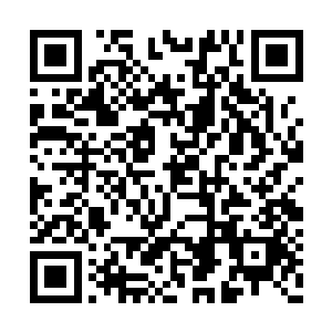 小手摊开在他的掌心也有着一枚准帝的空间戒指二维码生成