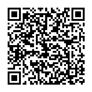 小时候在孤儿院里总是那么不识趣的去讨好你的是我而不是叶海凝二维码生成