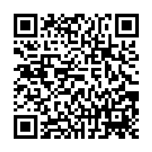 小时候放学回家的第一件事情便是去田野里帮妈妈收集大大小小二维码生成