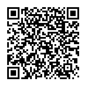 小暖已经定制好周边等你们啦哈哈~再以后见面也不知道是什么时候了二维码生成