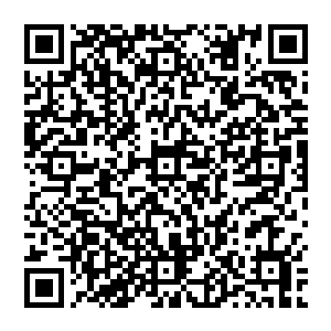 小松鼠这边进了屋子里就开始抬着脑袋两只小黑豆般的眼睛望着小太妹的方向一眨都不带眨的二维码生成