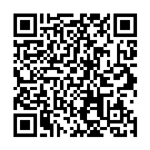 小树唯一不声不响对自己产生的影响是让自己成为无漏之体二维码生成