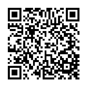 小爷是被你家少族长邪飞和剑无影追杀得无路可走才进去的二维码生成