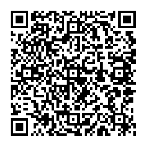 小男孩沉吟片刻眼神中露出深思风清扬的话似乎让他有些触动或许是因为潜在意识的原因他有些亲近风清扬二维码生成