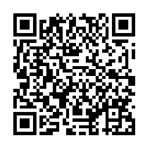 小白和小冥两个小家伙一边偷偷的瞅着眼前的美男二维码生成