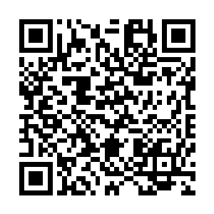 小白是吧你和我一个兄弟很像待会我不会让你输的太难看的二维码生成