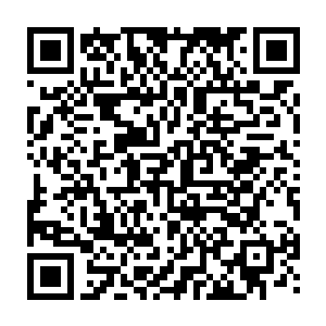 小的认为袁统领也不可能不顾及碧游波的脸面而干出常常私会嫂子的事情二维码生成
