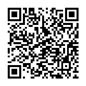 小蛊动了动身子从她的手腕上爬了下去后一眨眼就飞进了屋子中二维码生成