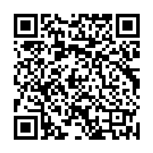 小西还在访谈节目的时候临时插播了这么一则新闻来着二维码生成