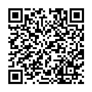 小说里的女主每次给男主打电话的时候都会遇见这样的误会二维码生成