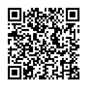 小野次郎很可能是在从头到尾都没有被自己的催眠术催眠过二维码生成