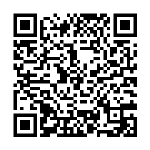 小镇内的所有牲畜在这一瞬间突然全部匍匐在了地上二维码生成