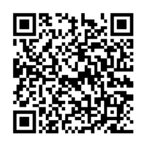 小鬼立时有了反应――他的五内融化一般沸腾起来二维码生成