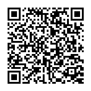 小黑··小黑你不要死···我不要你也和他们一样···小黑你听到没有二维码生成