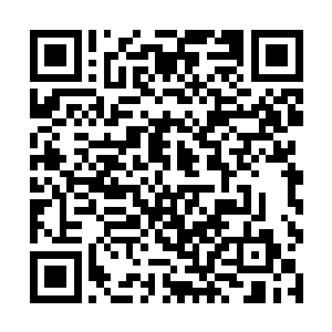 小龙的进攻还在继续……它都是以绝对的力量在攻击二维码生成