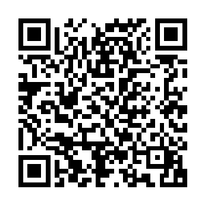 少不了让杨晨以自己的神念代替传感器进行收集信息数据的动作二维码生成