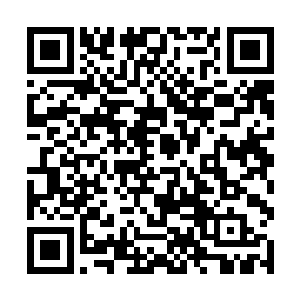 少了一个对于人族在这里的处境将会造成极大的伤害二维码生成
