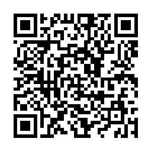 尝试自己单独炼制上等神王丹的可行性以及成功率二维码生成