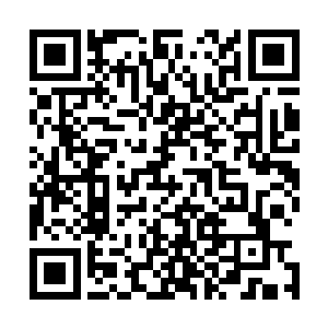 尤其在沙漠地带我遇到风沙的时候这样的变异会更快的出现二维码生成