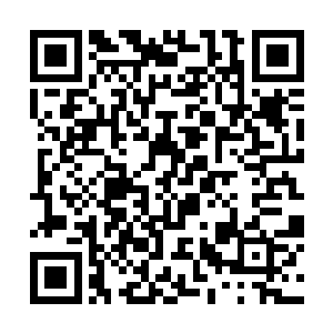 尤其形容了一堆传说中的法力无边和彩莲境界的修士二维码生成