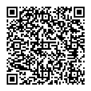 尤其是他们想到此人很有可能已经先他们一步将这第九十八遗迹之地给翻了一个底朝天心里就极其的难受二维码生成