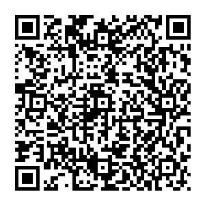 尤其是在得知双峰今年经济发展几项主要指标可能都会垫底时更是让所有人都下意识的想要避开梁国威二维码生成