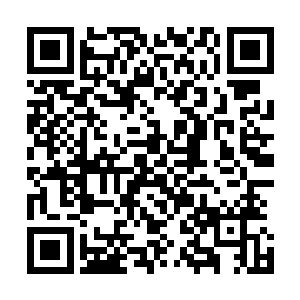 尤其是在这半年里孤独的留守在香港那个人生地不熟的地方二维码生成