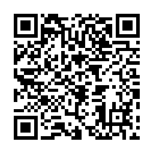 尤其是尖端部分在灵力的映照下此刻正闪烁着淡淡的寒芒二维码生成